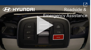 Brakes Roadside Video Thumbnail