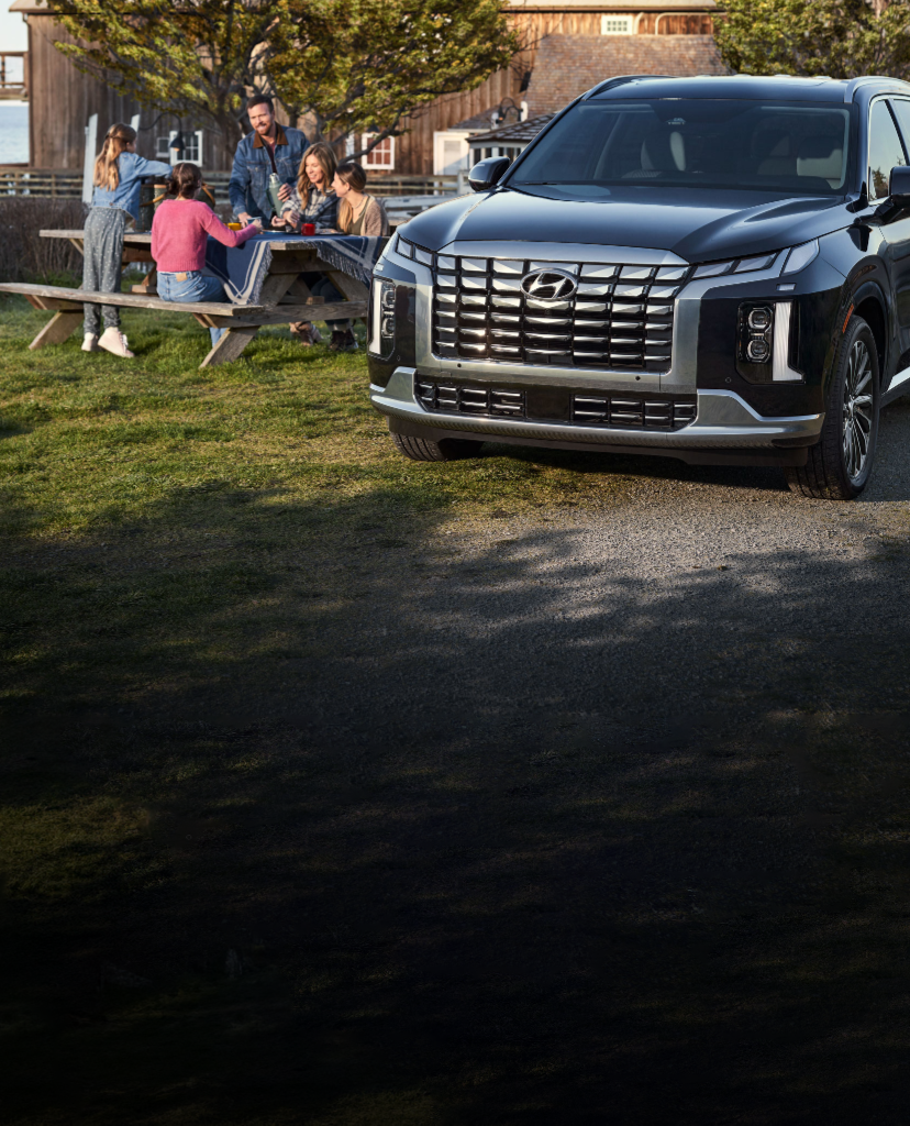 Family enjoying a picnic next to a black Hyundai SUV parked by the water.