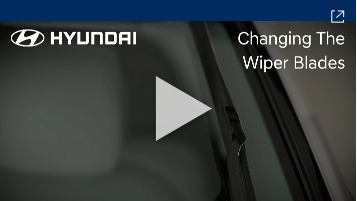 Wiper Video Thumbnail